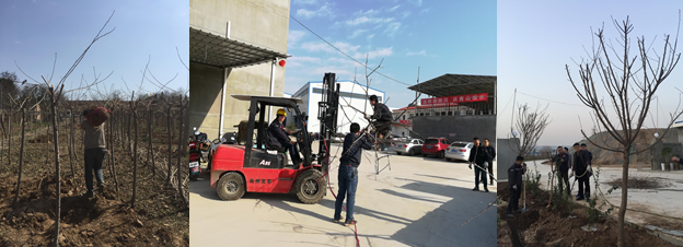 寶雞捷銳“迎春風，綠家園”植樹節(jié)(圖2)