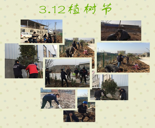 寶雞捷銳“迎春風，綠家園”植樹節(jié)(圖3)